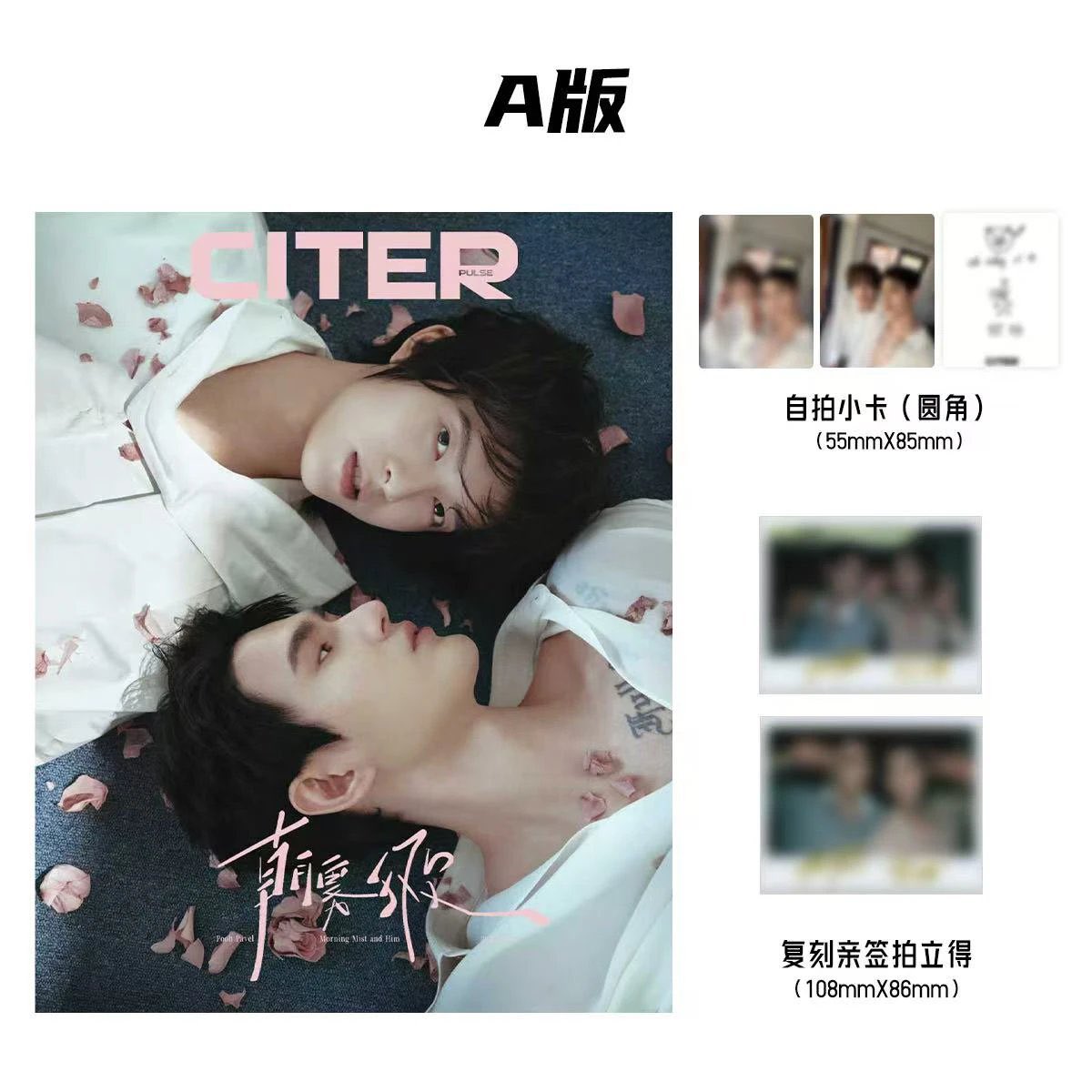 PRE-ORDER] CITER x PoohPavel Magazine Set A–D | Selfie Cards