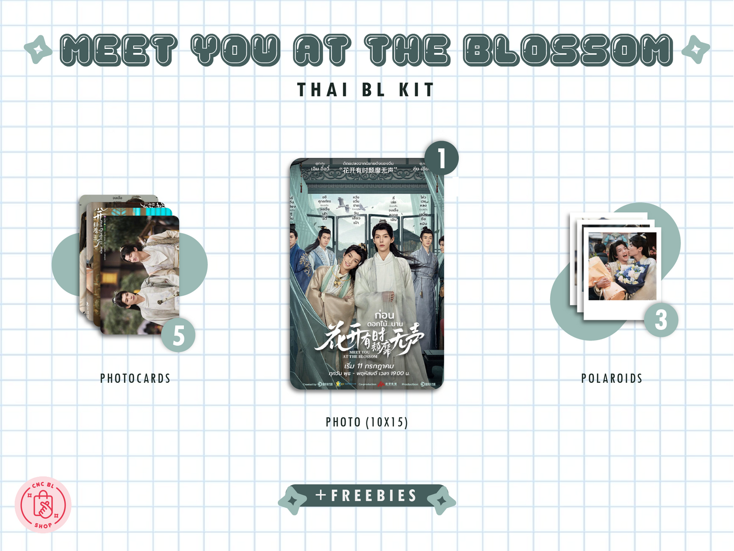 Meet You At The Blossom Kit - Exclusive Photocard & Polaroid Set