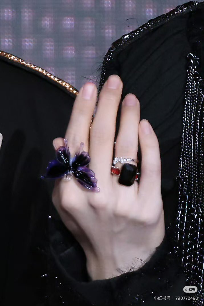 [Pre-Order] Huang Xing Butterfly Jewelry – Xing Qiu Inspired Sterling Silver Ring & Bracelets