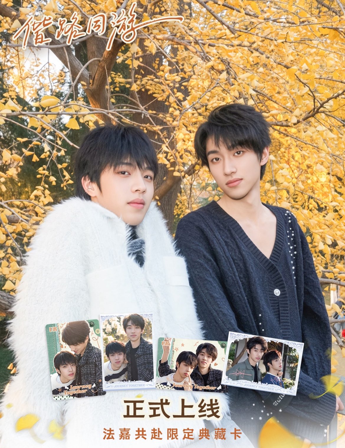 [PRE-ORDER] Double Helix Limited Edition Merch 2nd Collection | AyLio & FaJia