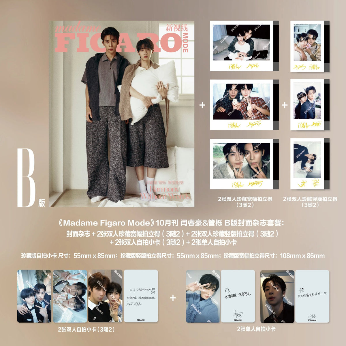 [PRE-ORDER] Madame FIGARO × Yan Ruihao & Guan Yue | Bittersweet Love