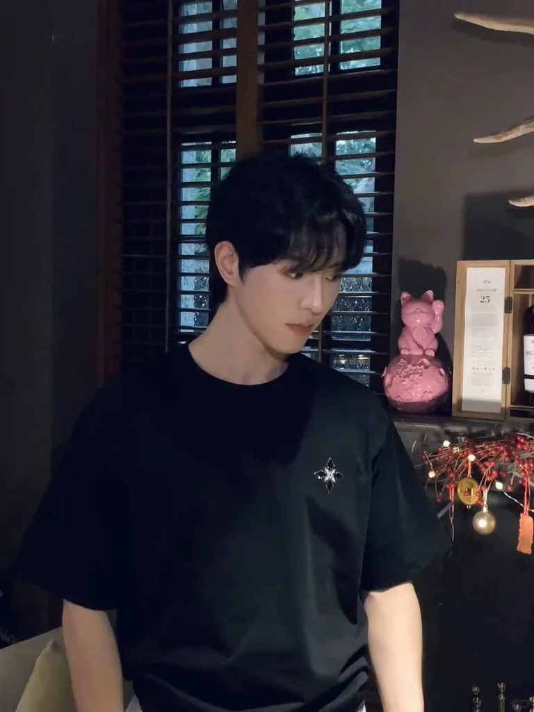 [PRE-ORDER] ✨ Qiu Dingjie  “YLDP ” T-SHIRT | Actor’s Personal Accessory ✨